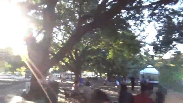 Dia de Los Muertos 2021 Houston Tx смотреть онлайн