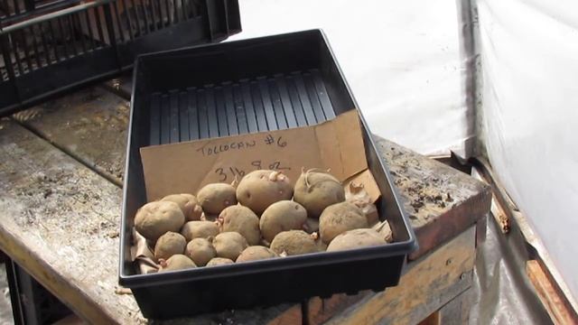 Diffuse Light Seed Potato Storage смотреть онлайн