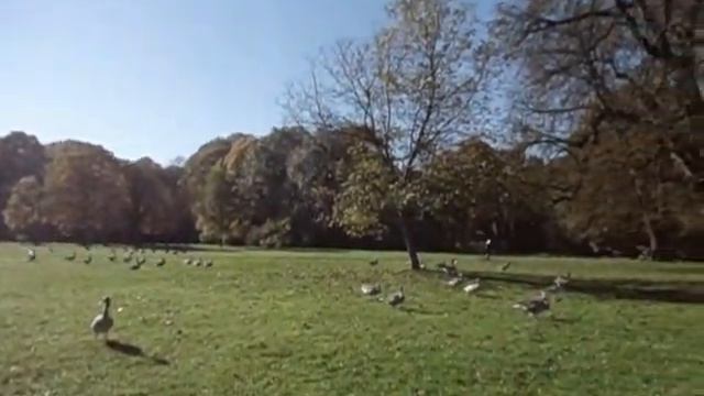 Мюнхен.Английский сад в октябре 2017. смотреть онлайн