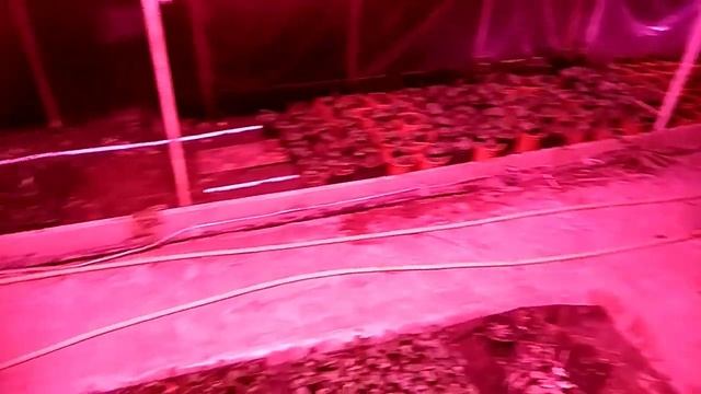 Зимняя теплица. смотреть онлайн