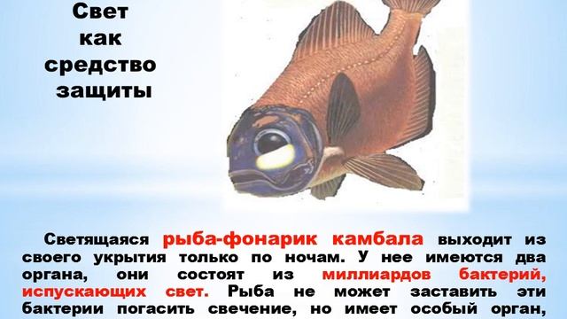 Презентация "Свечение и электричество" смотреть онлайн