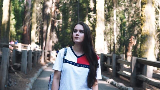 Парк СЕКВОЙЯ | Самые высокие деревья на Земле и зачем их ПОДЖИГАЮТ? \ КАЛИФОРНИЯ смотреть онлайн