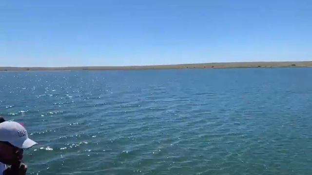 Бульдозер переплывает реку Ульба смотреть онлайн