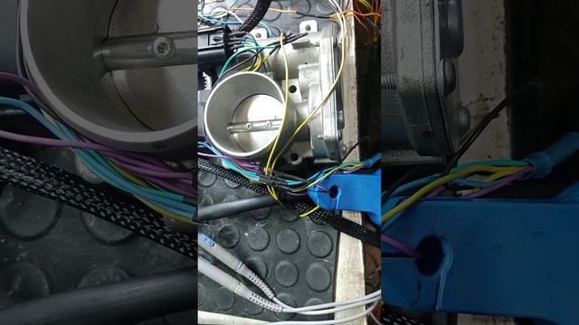 Reparación Ecu Fiat Idea 1.8 sistema de aceleración con defecto. Prueba completa en banco. смотреть онлайн