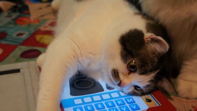DrawSomething ~ 2 смотреть онлайн