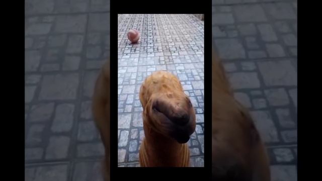 Тьфу ты ? сначала не понял, а потом как понял ? смотреть онлайн