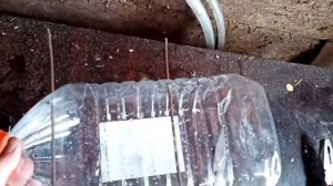 делаем мышеловку своими руками.