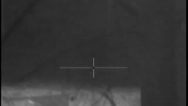 охота на кабана в тепловизор Pulsar Apex XD 75 смотреть онлайн