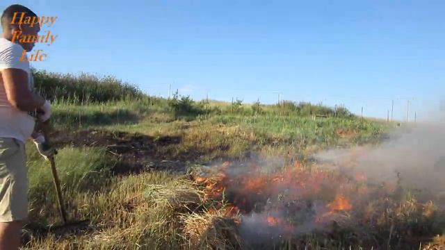 Какую ошибку мы совершили в борьбе с колючим сорняком на участке Safina Family смотреть онлайн