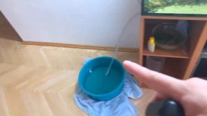 БАКТЕРИАЛЬНАЯ ВСПЫШКА. День 1.