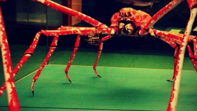 всё о живоглоте, богомоле и японском крабе пауке! смотреть онлайн