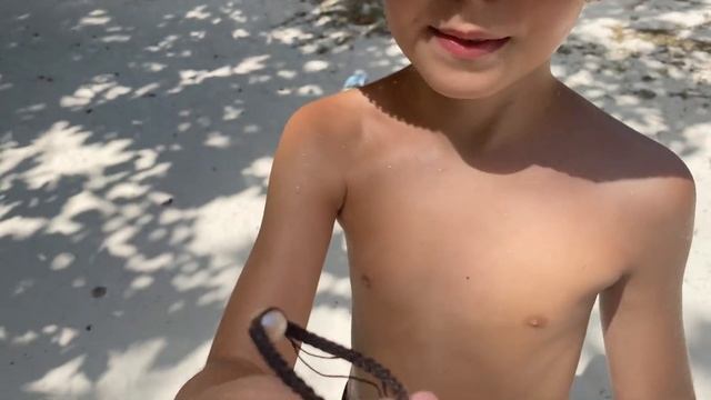 САМАЯ БОЛЬШАЯ ЧЕРЕПАХА В МИРЕ ?- Сейшельские Черепахи - Супер Алекс смотреть онлайн