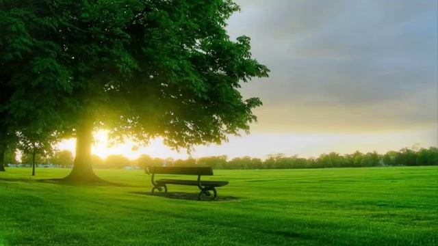 Паника?! Има решение - лечение на симптомите (част 2/4)