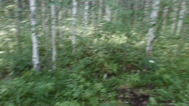 #УЖД #мотоблок смотреть онлайн