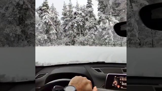 BMW X1 (F48) Xdrive Snow