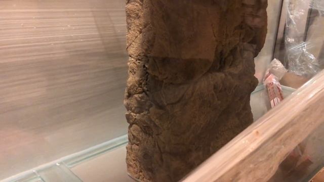 Аквариум на 2 тонны 3 метра длиной смотреть онлайн