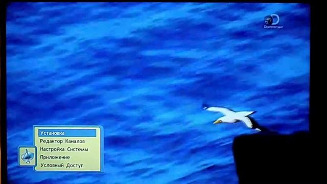 Как и куда записать данные сервера на Openbox s2 mini HD смотреть онлайн
