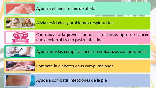 BENEFICIOS DEL AJO. смотреть онлайн