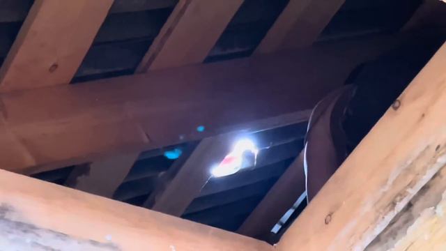 ЗАЛИЛИ ПОЛ🤸♀️😎/БЫЛО ОЧЕНЬ ЖАРКО!🌋🩸/В ПОИСКАХ РАЯ🧭🏝😩/28 июля 2023 г. смотреть онлайн