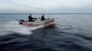 Риб Фортис 460z