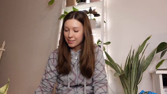 Repotting a struggling Syngonium albo // Vlogmas 11 | Margarita Mundina смотреть онлайн