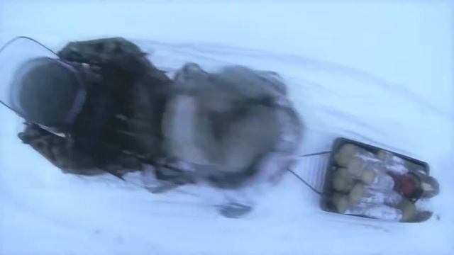 Купить Снегоход IRBIS DINGO T125   BIKE18 RU продажа снегоходов