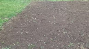 Техника под силу женщине / Электрический культиватор / Champion EC750 /