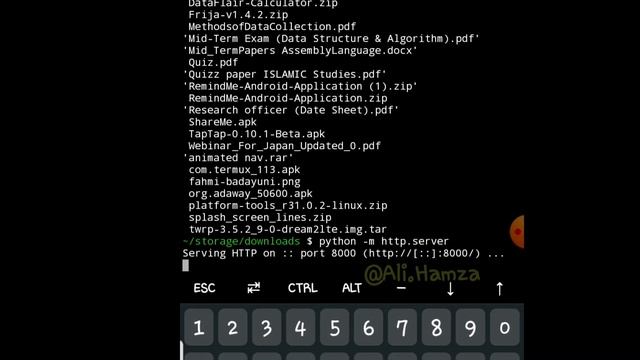 Share files with python between http server. смотреть онлайн