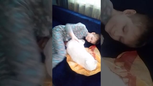 , вычёсывание клёпу мур-мяу