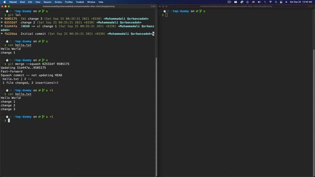 Git Cherry-Pick || Cherry-Pick vs Merge Squash смотреть онлайн
