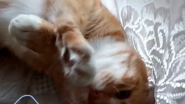 С добрым утром! смотреть онлайн