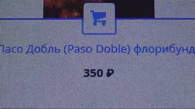 Питомник Марии Харченкочто знаете о нем?