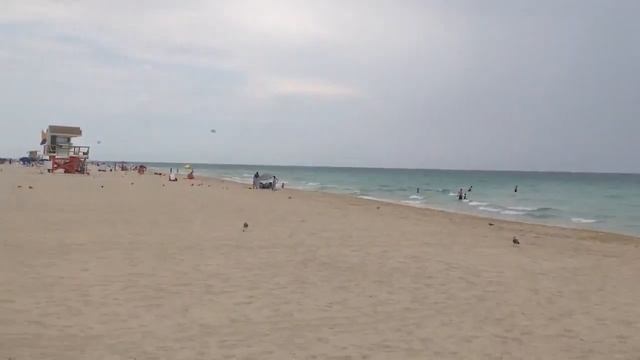 Хроники американского путешествия#Пляж Майями-бич смотреть онлайн