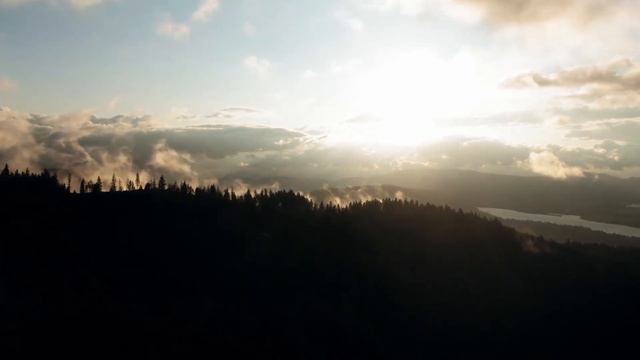 ЗАТИХЛИ ЛИСТЬЯ В СОЛНЕЧНЫХ ОБЪЯТИЯХ смотреть онлайн