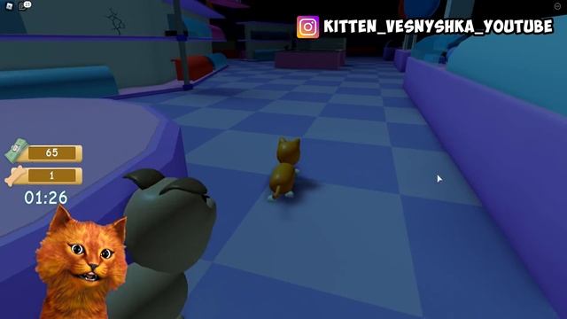 ? ПОБЕГ ПИТОМЦЕВ 2 в РОБЛОКС ПРЯТКИ Pet ? Escape 2 ROBLOX КОТЁНОК ВЕСНУШКА и КОТЁНОК ЛАЙК смотреть онлайн