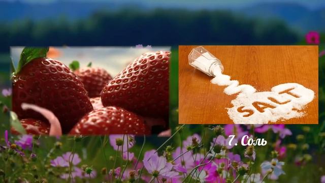 10 продуктов, которые не портятся! смотреть онлайн