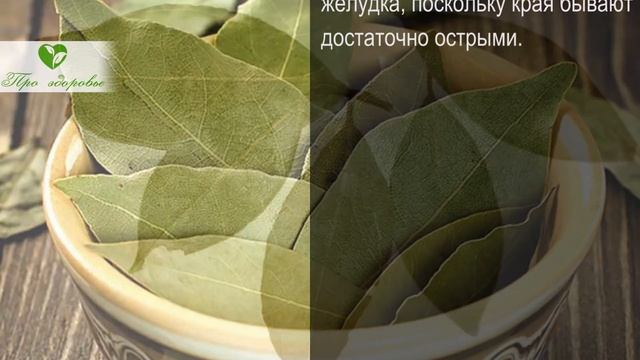 Такое от лавра никто не ожидал! Непередаваемые ощущения с первой минуты! смотреть онлайн