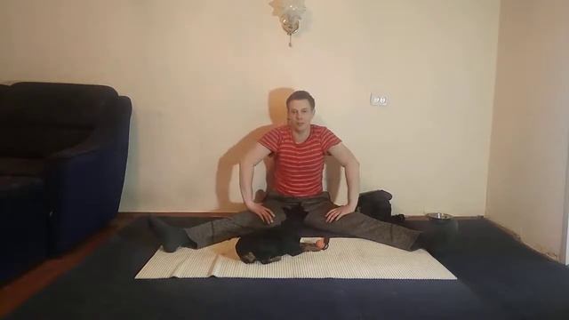 ПОРОДА ЦВЕРГПИНЧЕР ПЛЮСЫ И МИНУСЫ| ОТЗЫВ О ПОРОДЕ ЦВЕРГПИНЧЕР| ПЛЮСЫ И МИНУСЫ ПОРОДЫ ЦВЕРГПИНЧЕР смотреть онлайн