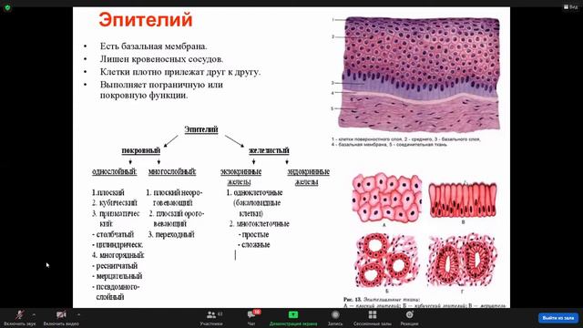 Zoom Конференция 2021 10 06 14 56 06 смотреть онлайн