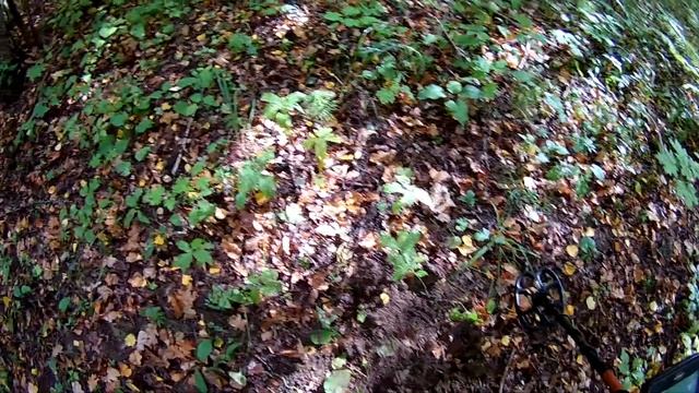 КОП В ЛЕСУ. НАШЁЛ ДОМ ЛЕСНИКА, ОДИНОЧНЫЙ ПОХОД В ЛЕС смотреть онлайн