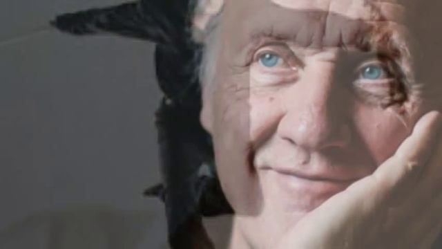 Herman van Veen - Meneer смотреть онлайн