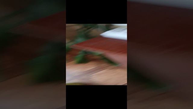 крутые видио смотреть онлайн
