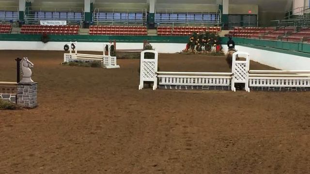 Adelita Hunter Derby at Raleigh Indoors 2015 смотреть онлайн