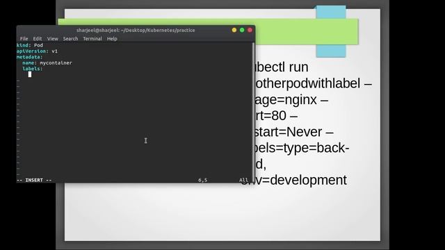 8 Kubernetes in action Labeling in Urdu/Hindi смотреть онлайн