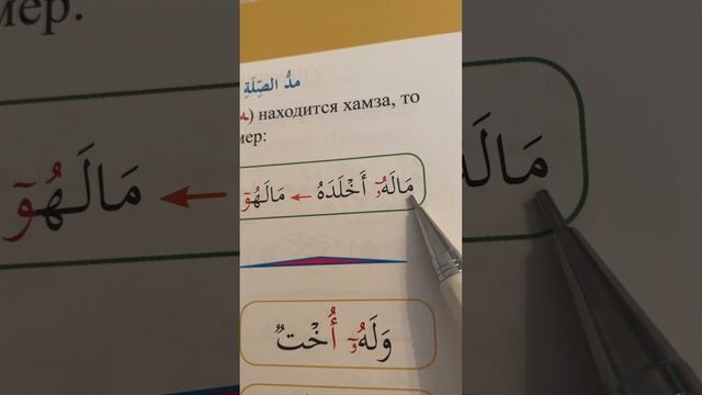 9 урок по рецитации Корана 2 части. Связанное удлинение. (Малая и большая связь) смотреть онлайн