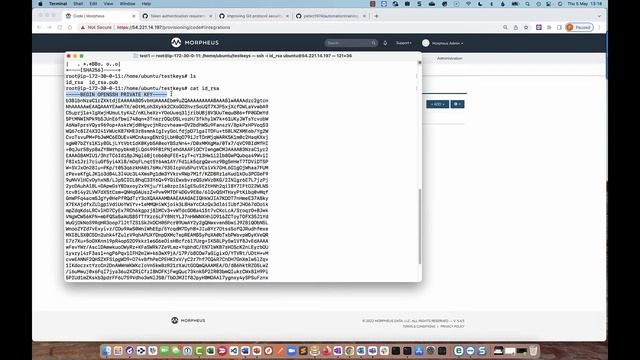 Integrating a Git Repository Into Morpheus | Morpheus Data смотреть онлайн