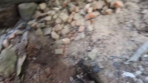 Заброшенные Деревни Смоленской области. Забытая Россия. Последние жители