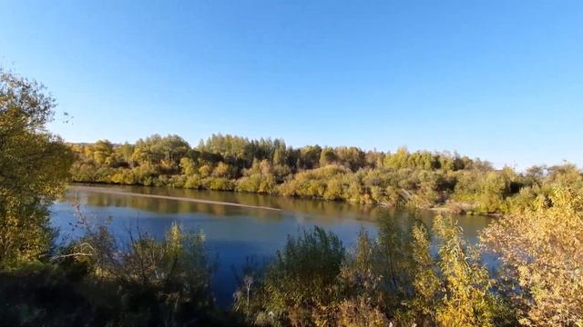 Уха из рыбной консервы. #ЖизньвГорно-Алтайске, плюсы и минусы от первого лица смотреть онлайн