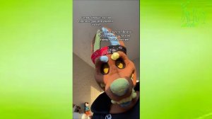 ПОДБОРКА ФУРРИ ИЗ ТИК ТОКА!