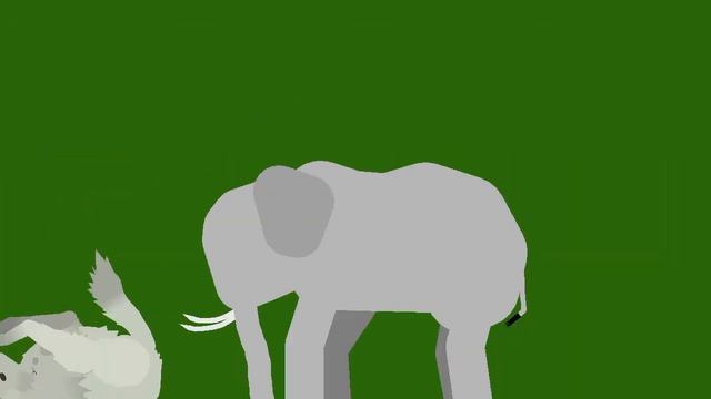 Elephant Vs Wolf